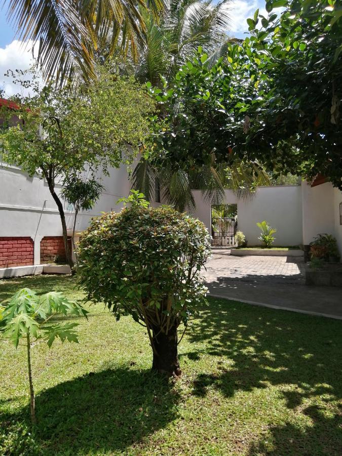 Ibis Apartamento Udawalawe Exterior foto