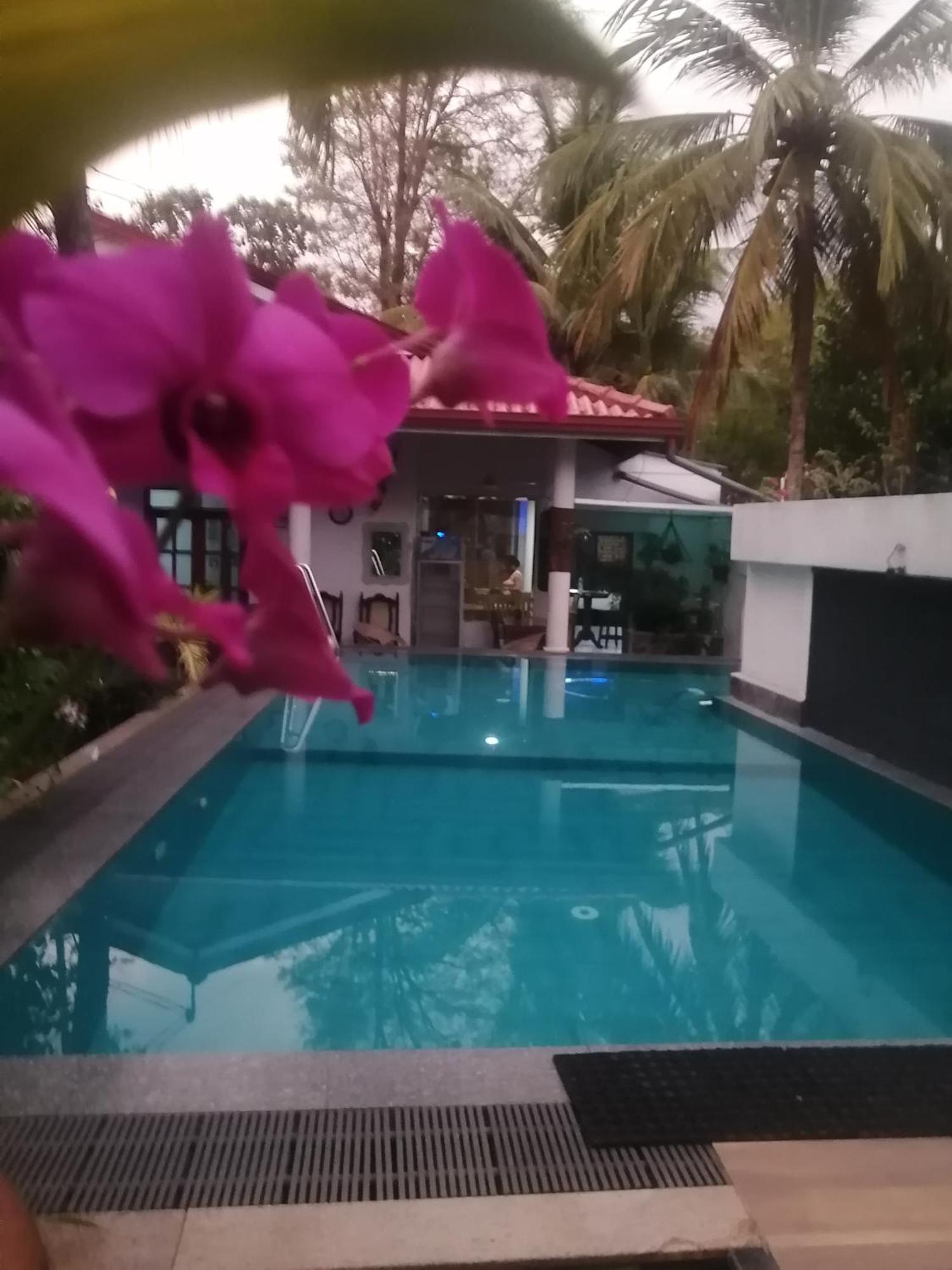 Ibis Apartamento Udawalawe Exterior foto